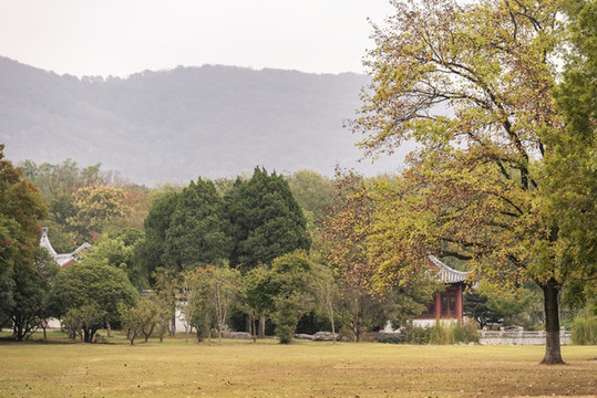 秋天草坪