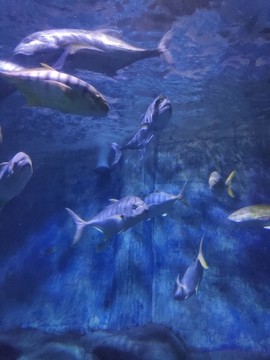 海底世界