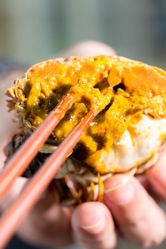 大閘蟹
