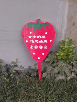 草莓花草牌