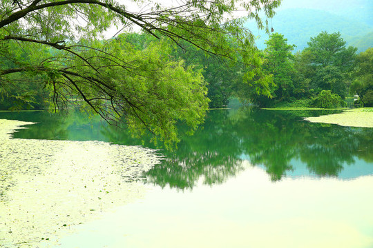 山水裝飾畫