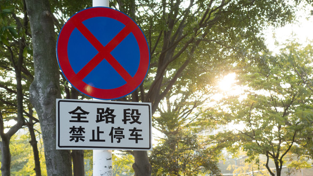 陽光下的路面標(biāo)識牌