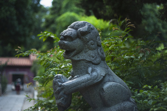 泉州開元寺石獅子