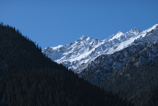 山雪