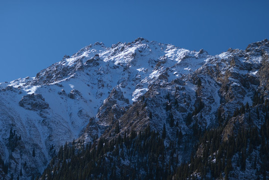 山雪