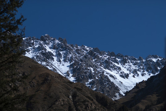 山雪