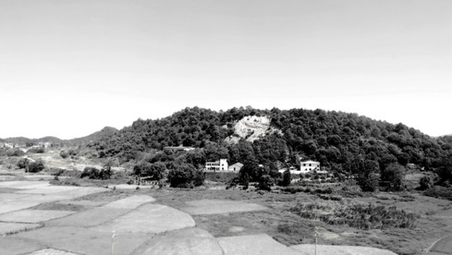 山丘稻田