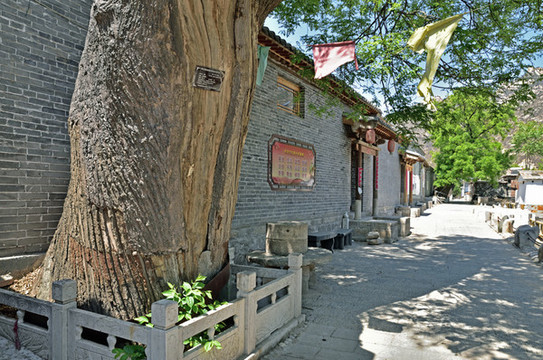 中國傳統(tǒng)村落河北省大坪村