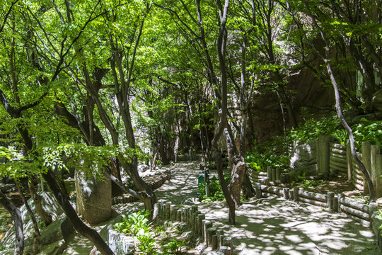 晉中介休綿山風(fēng)景區(qū)水濤溝