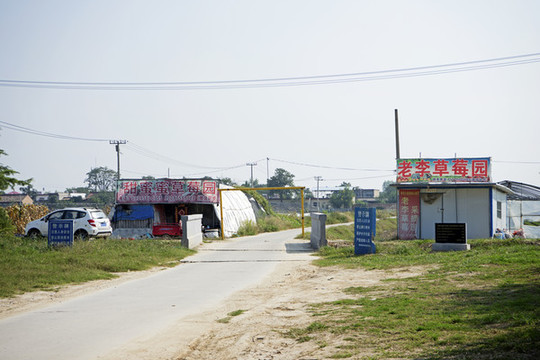 草莓園