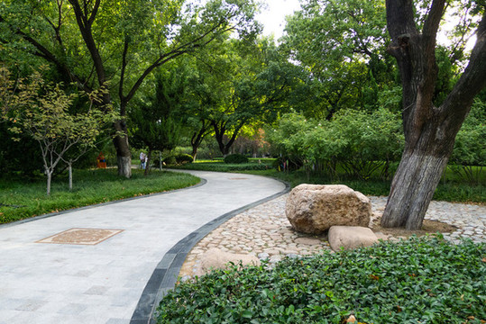 公園小道