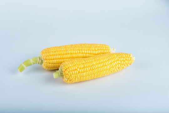 玉米