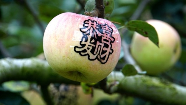 藝術(shù)蘋果
