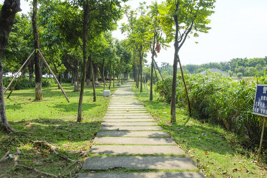 園林道路