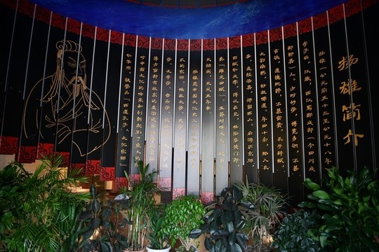 楊雄簡(jiǎn)介