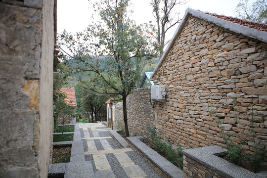 朱家林田園綜合體美麗鄉(xiāng)村建設(shè)