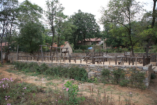 朱家林田園綜合體鄉(xiāng)村活動(dòng)場(chǎng)地