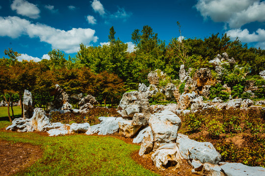 樹林假山