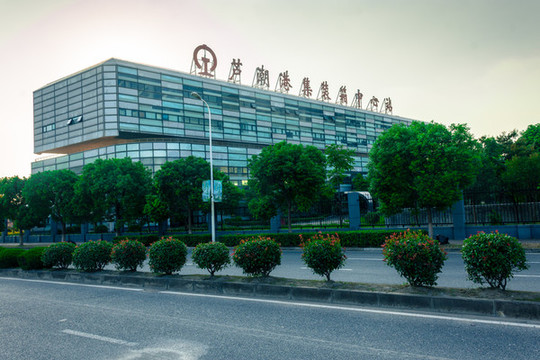 蘆潮港臨港集裝箱中心