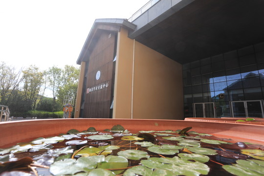 研學(xué)游營地
