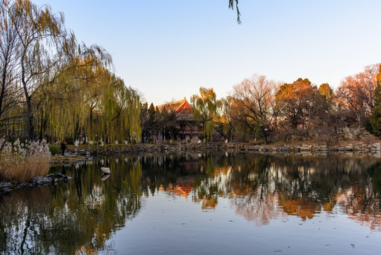 北大校園未名湖秋色紅四樓備齋