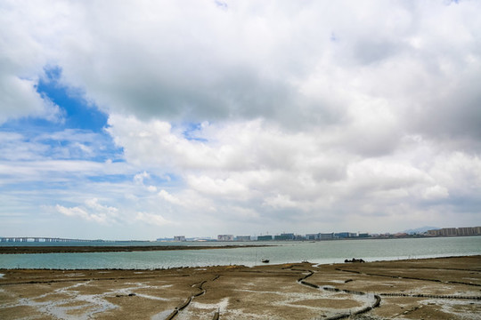 廈門海邊灘涂