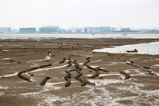 廈門沿海灘涂