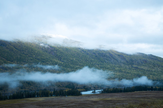 喀納斯秋景