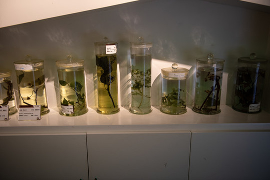 植物標(biāo)本館