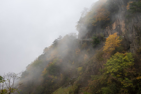 神農架秋景