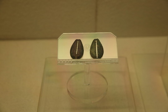 銅貝