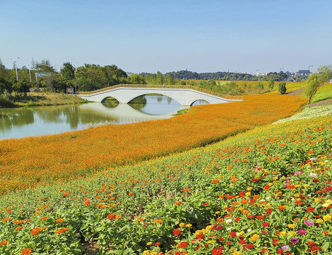 園林小橋