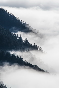 云海