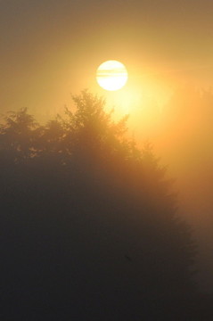 最美不過夕陽紅
