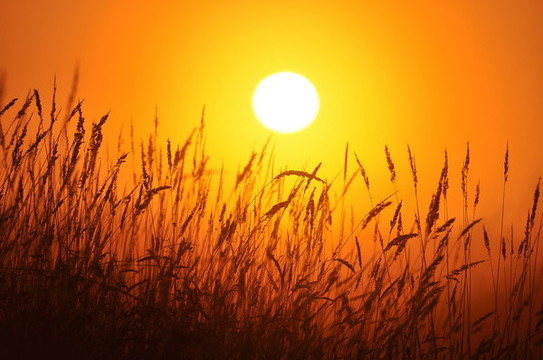 最美不過夕陽紅