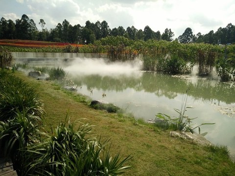 園林水景