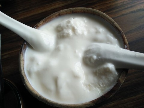 藏式酸奶