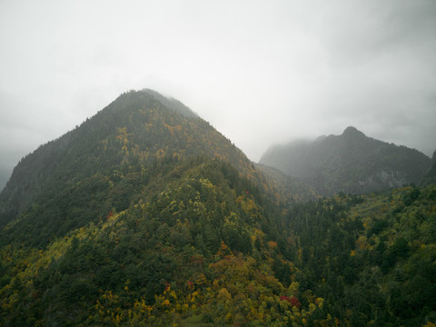 云山霧罩
