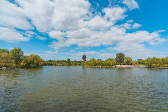 濕地公園