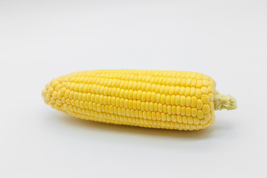 玉米