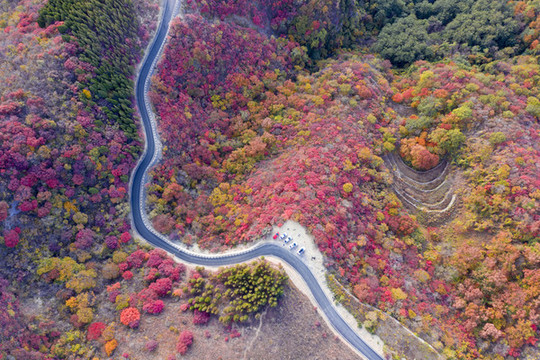 紅葉公路