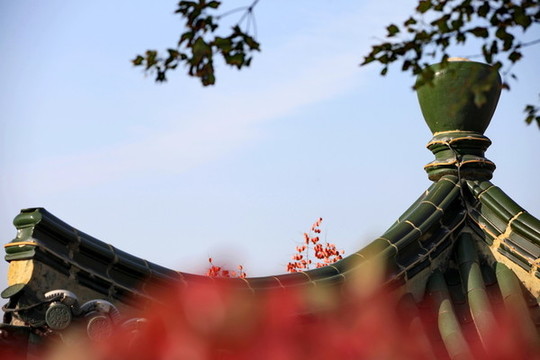 運城鹽湖園秋景
