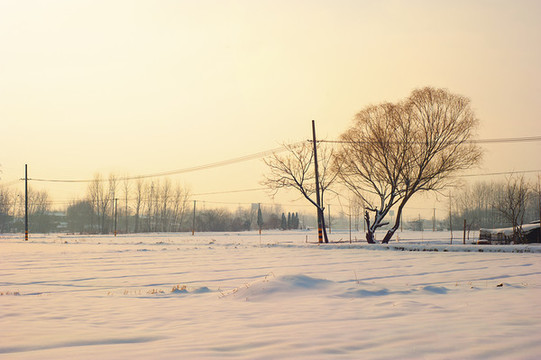 田園雪景