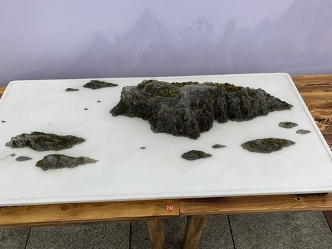盆景