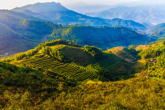江西崇義上堡梯田風(fēng)景