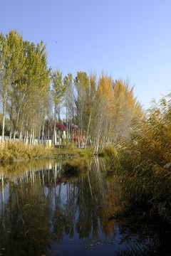 濕地公園