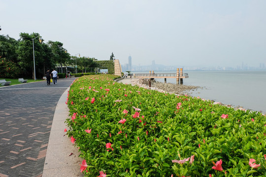花壇