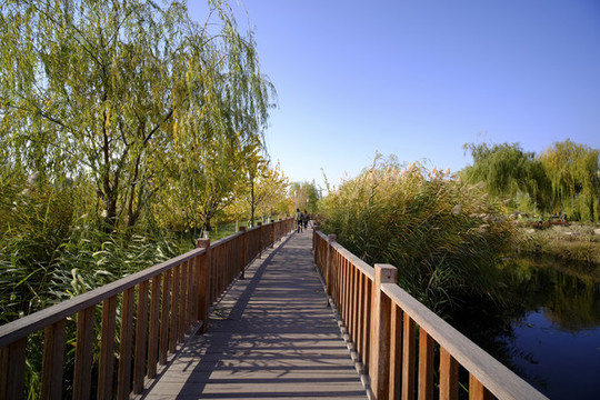 木棧道