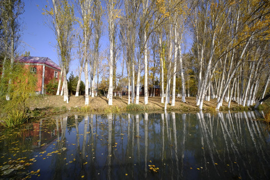 濕地公園