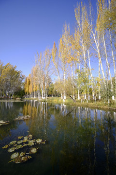 濕地公園